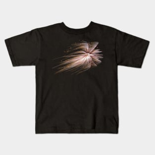 Windswept Fireworks Kids T-Shirt